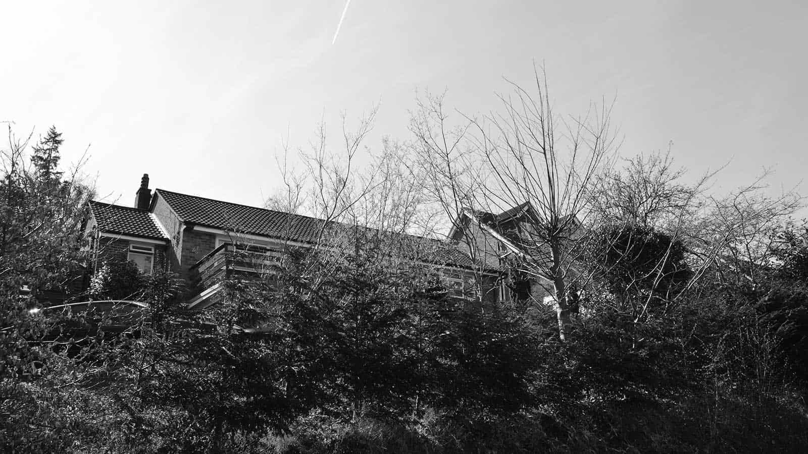 Upside Down House Extension, Haslemere, Surrey, view 19